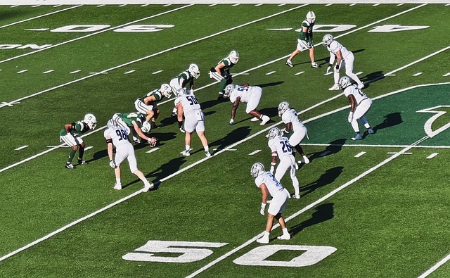 素质的结合 素质的结合