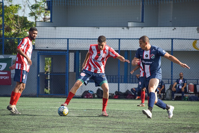 了往日的风 了往日的风