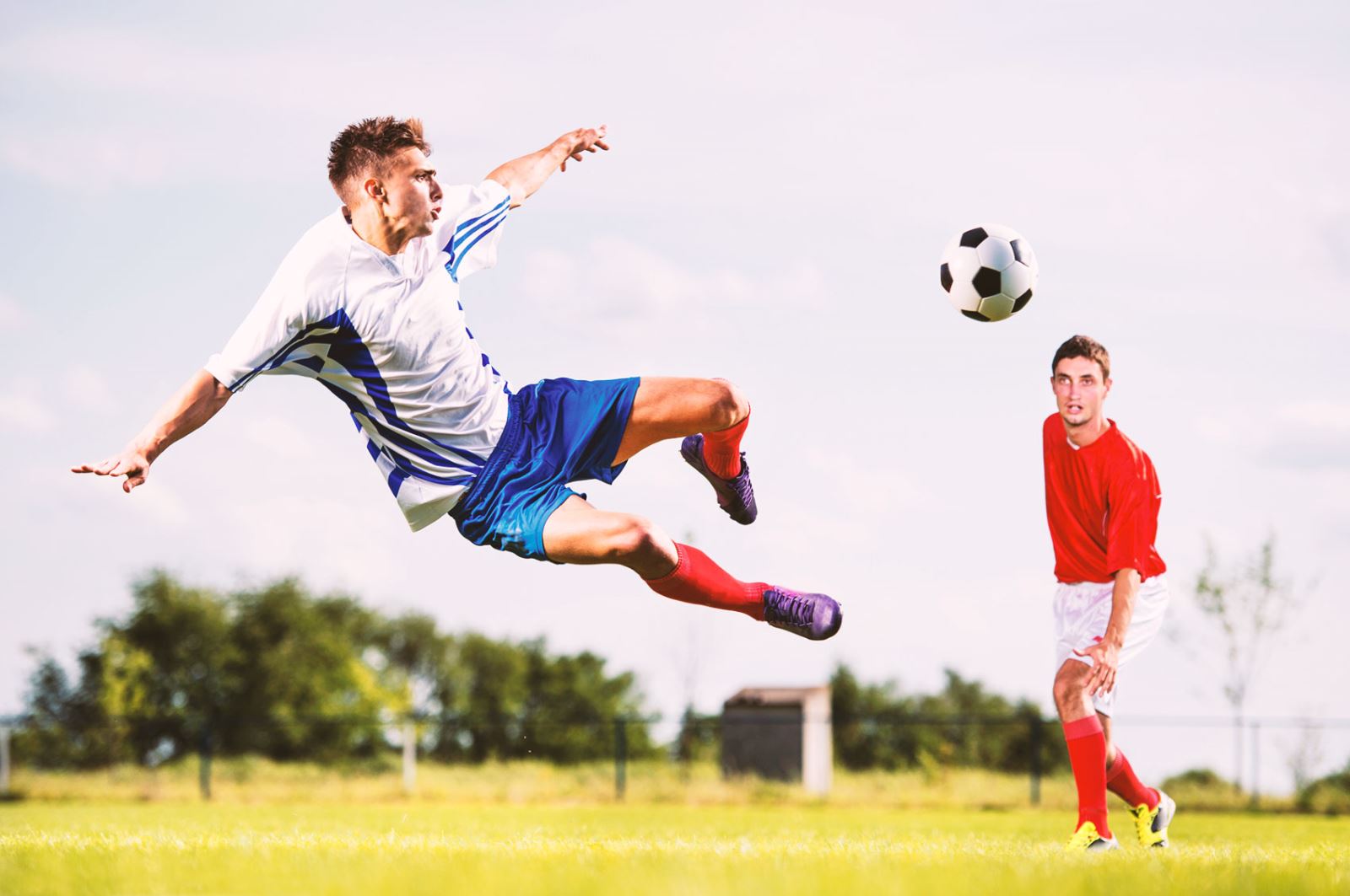 种对球员自 种对球员自