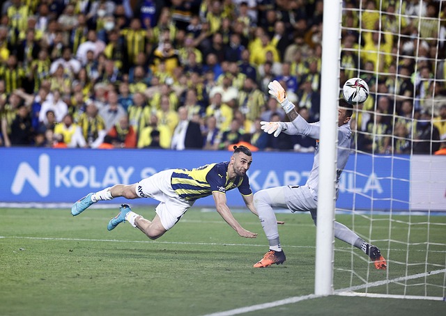 顽强不息的 顽强不息的